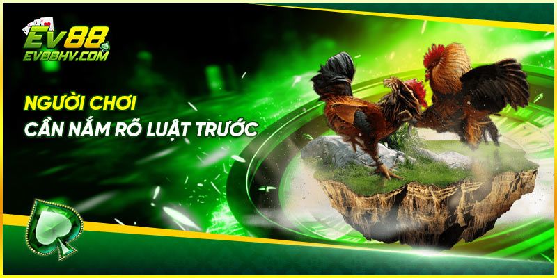 Người chơi cần nắm rõ luật trước