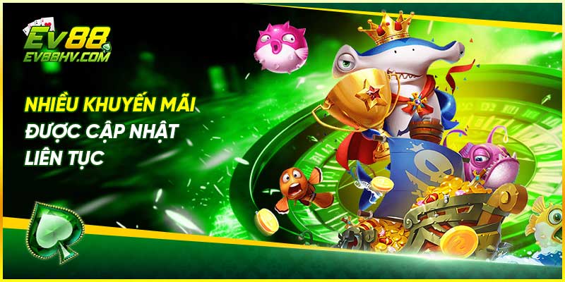 Nhiều khuyến mãi được cập nhật liên tục