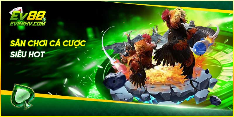 Sân chơi cá cược siêu hot